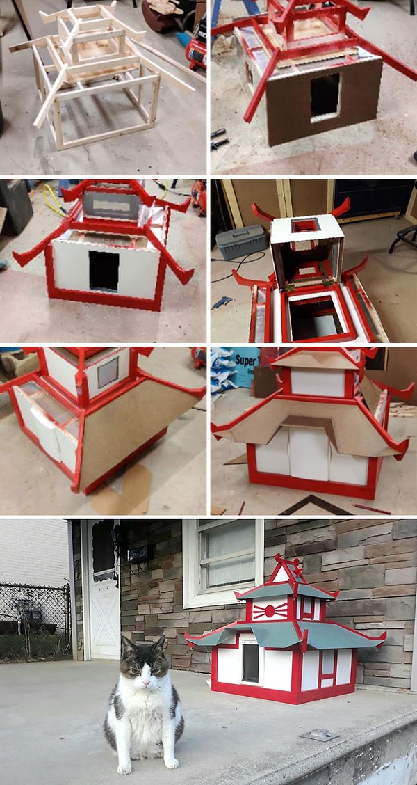12. Мой парень 3 месяца строил домик для котика. Кажется котику не понравилось..