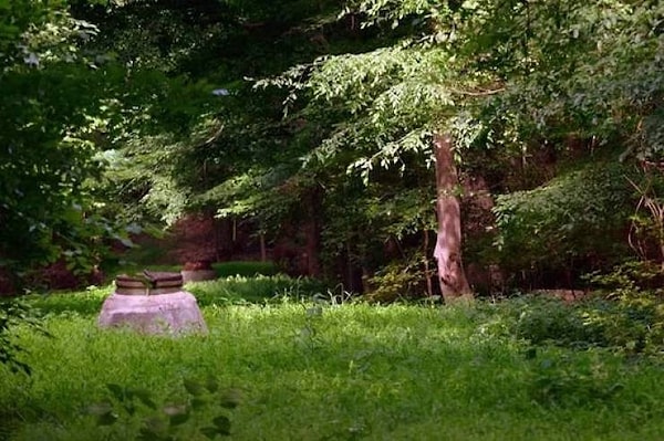 13. Эти канализационные люки имеют все шансы исчезнуть под густым зеленым газоном.