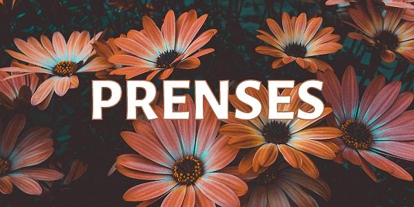 15. "PRENSES" kelimesinde kaç tane hece vardır?