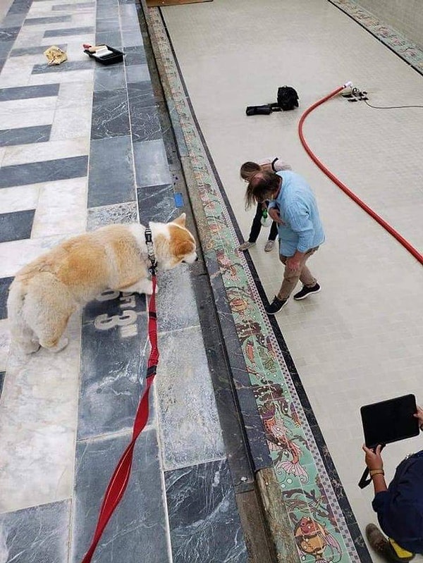 6. Шарик в стране лилипутов.