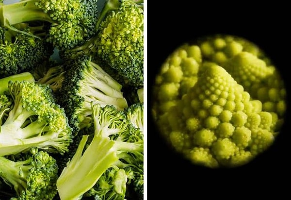 13. Соцветия брокколи