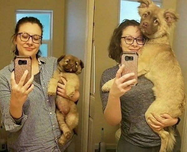 35. Это все от хорошего питания!