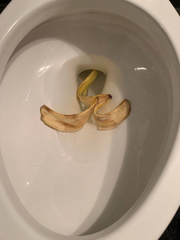 9. "Иногда я даже не знаю, что сказать. Захожу я, значит, в туалет и вижу в унитазе вот это".