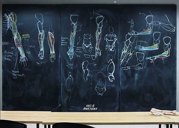 Ваннарит преподавал искусство в течение 10 лет, прежде чем был приглашен в качестве лектора на занятия по искусству в университете.