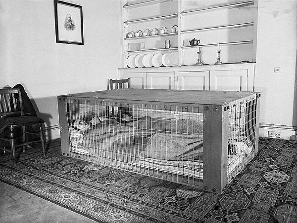 27. İkinci Dünya Savaşı sırasında bombalardan korunmak için kafesin içinde yatan bir çift. Mart 1941.