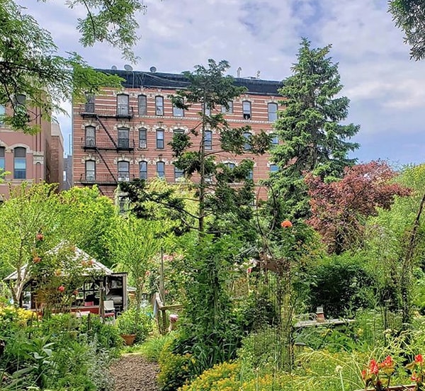 В Австрии есть общественные сады. В этих садах выращивают цветы, овощи и зелень для личных нужд местных жителей.