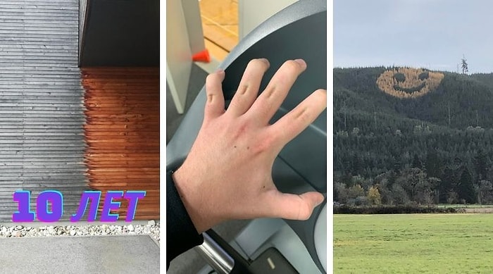 15 необычных фотографий для тех, кто считает, что видел в Интернете все