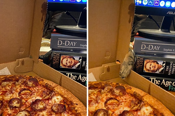 7. "Делись, человек!"