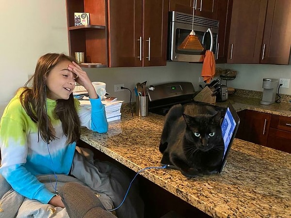 15. "Одна из главных трудностей дистанционного обучения в 2020 году".