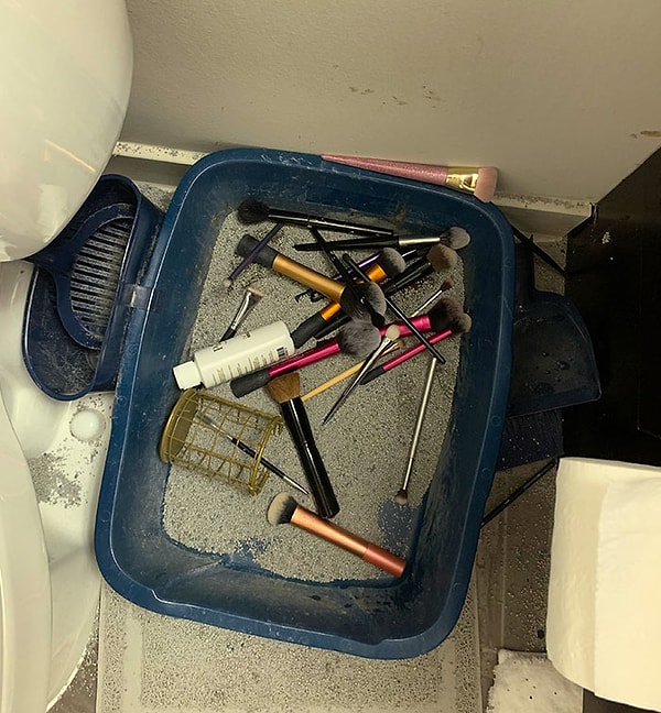 15. "Сегодня утром кот опрокинул все мои кисточки для макияжа прямо в свой лоток".