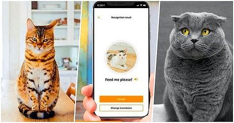En Yakın Dostlarımızdan Biri Olan Kedilerin Miyavlamalarını Anlamak İçin Geliştirilen Yeni Uygulama: MeowTalk