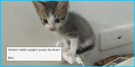 Aile Üyelerini Mizahlarına Alet Eden Goygoyculardan Haftanın En Eğlenceli 15 Paylaşımı