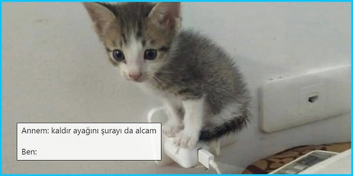 Aile Üyelerini Mizahlarına Alet Eden Goygoyculardan Haftanın En Eğlenceli 15 Paylaşımı