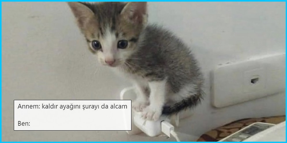 Aile Üyelerini Mizahlarına Alet Eden Goygoyculardan Haftanın En Eğlenceli 15 Paylaşımı