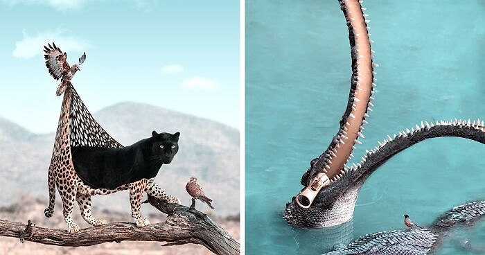 Вот что я представляю, чем занимаются животные, когда мы не смотрим (20 фото)