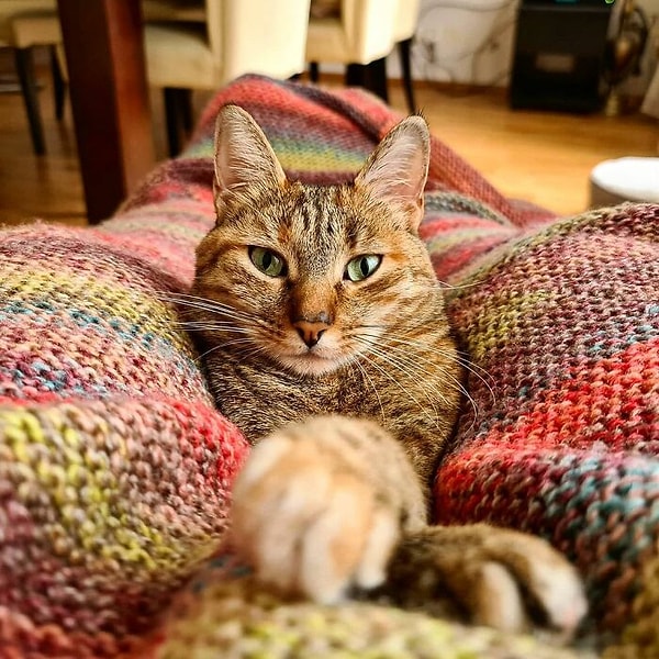 14. Вена, Австрия