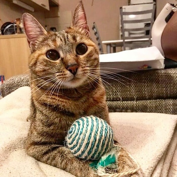 20. Будапешт, Венгрия