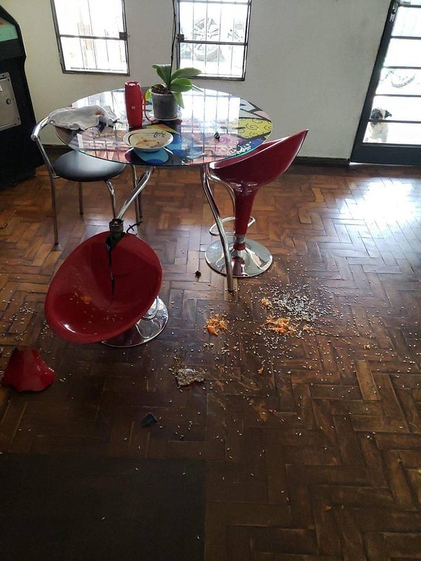 21. Эти стулья никогда не внушали особого доверия...