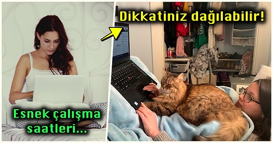 Evden Para Kazanmak Mümkün! Yeni Başlayanlar İçin Freelance İşlerin Nasıl Yapıldığını Anlatıyoruz