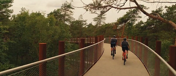 9. В последнее время эта диковинная велотрасса привлекает все больше и больше любителей активного отдыха на природе.