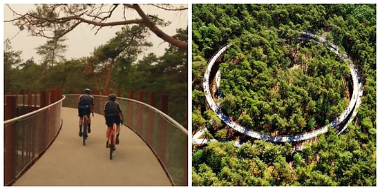 Это вам не велотренажер в качалке: В Бельгии можно покататься на двухуровневой велодорожке на высоте 10 метров прямо в лесу (12 фото)