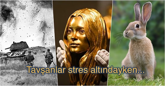 Öğrenildiğinde Tadınızı Kaçırması Yalnızca Saniyeler Sürecek 13 Şaşırtıcı Bilgi