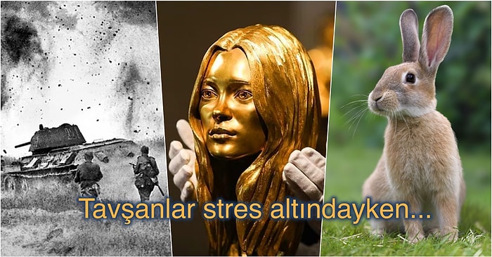 Öğrenildiğinde Tadınızı Kaçırması Yalnızca Saniyeler Sürecek 13 Şaşırtıcı Bilgi