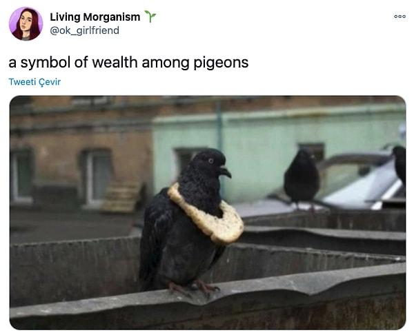 2. "Güvercinler arasında bir zenginlik belirtisi"