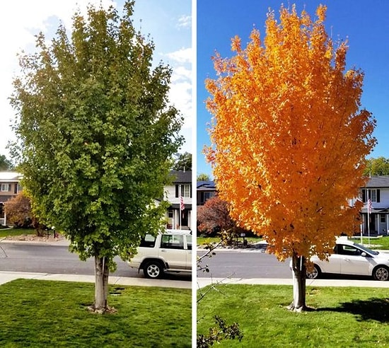 20 фотографий-сравнений, демонстрирующих силу времени
