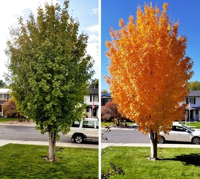 20 фотографий-сравнений, демонстрирующих силу времени