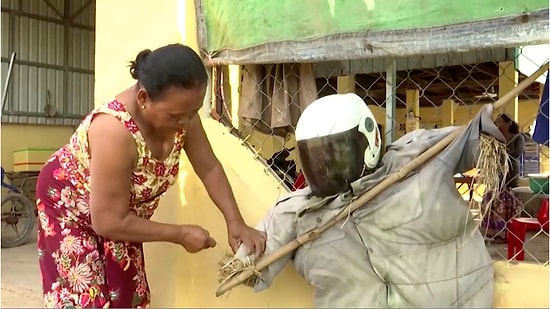 Жители камбоджийской деревни отпугивают коронавирус с помощью...огородных пугал, и, похоже, весьма успешно