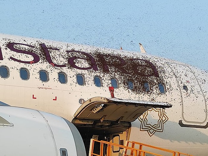 В Индии массивный рой пчел "захватил" два пассажирских самолета, которые  приземлились с разницей в несколько часов