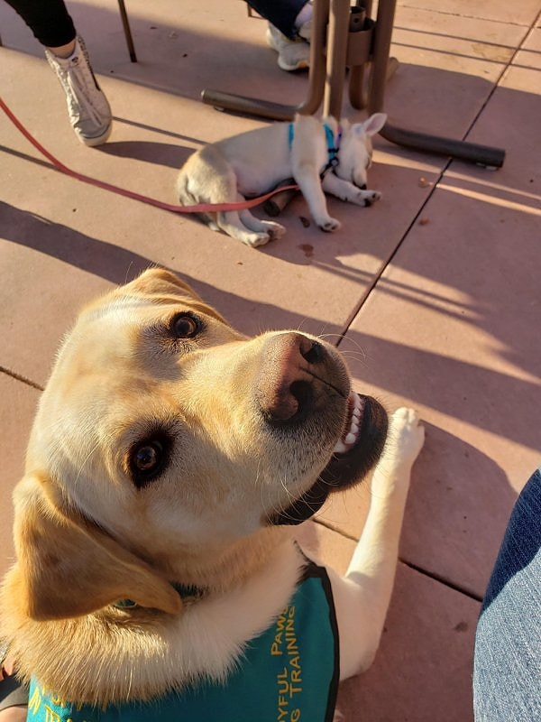 3. Роджер любит свою работу, несмотря на то, что  его подопечные засыпают во время его уроков.