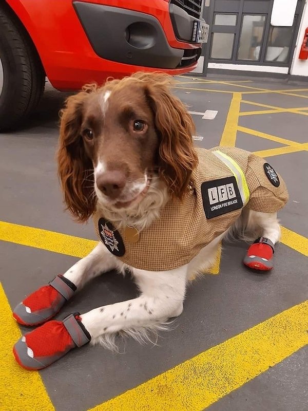 16. Работник службы спасения