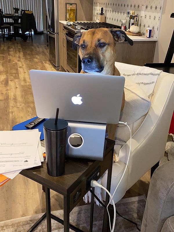 20. "Человек, помощь нужна?"