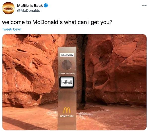 15. "McDonald's'a hoş geldiniz, size ne getirebiliriz?"