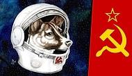 Soğuk Savaşın En Sıcak Kanlı Karakteri, Sovyet Uzay Köpeği: Laika