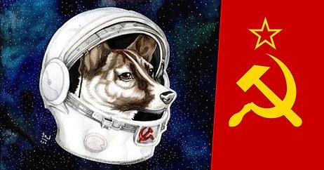 Soğuk Savaşın En Sıcak Kanlı Karakteri, Sovyet Uzay Köpeği: Laika
