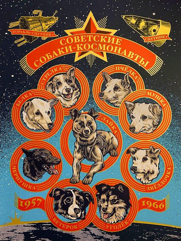 Son olarak... Laika'yı anmışken diğer Sovyet uzay köpeklerini anmamak olmazdı.