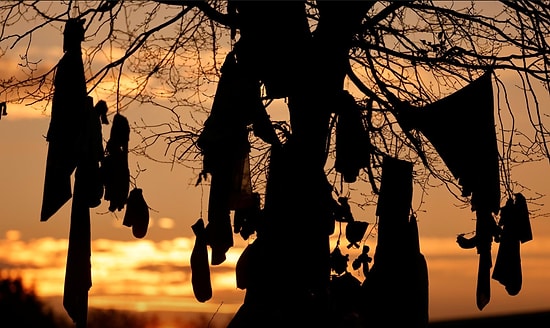 Языческий обычай через призму COVID-19: Во Франции на "целебные" деревья теперь привязывают не носки, а медицинские маски