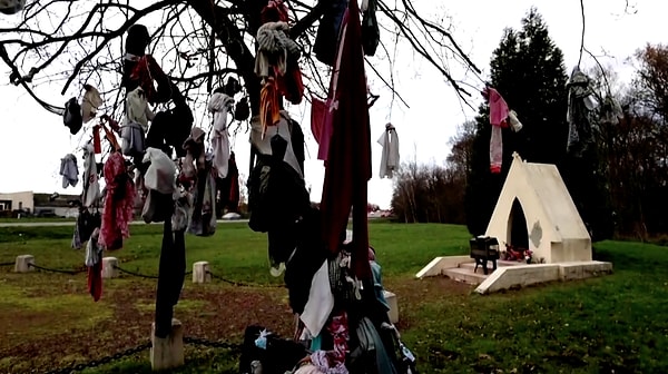 2. Из года в год на ветви "целебных" деревьев привязывают предметы одежды, которые находились в прямом контакте с больным местом человека.