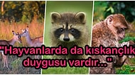 Hepimiz Benziyoruz! Hem İnsanlarda Hem de Hayvanlarda Bulunduğunu Bilmediğiniz Birbirinden Şaşırtıcı 15 Davranış