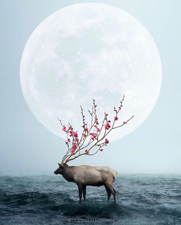 11. Оборотная сторона