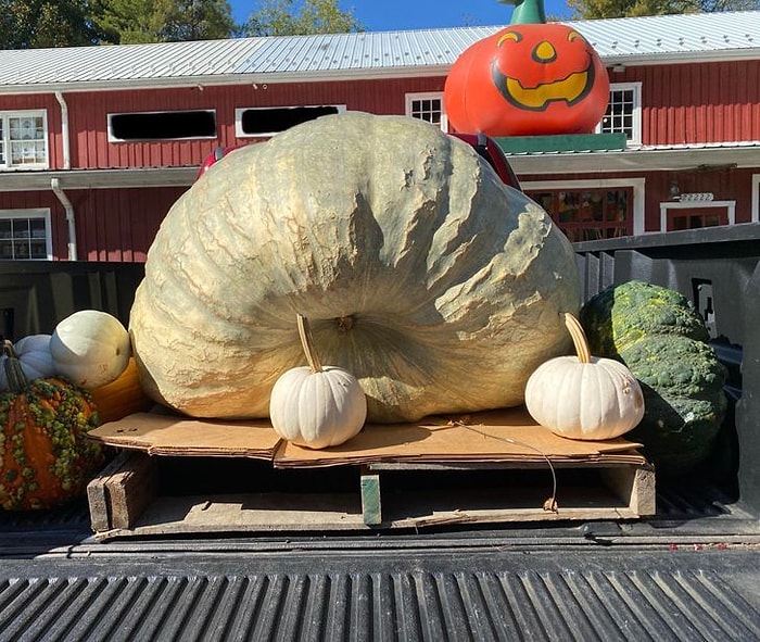 25 интересных вещей, которые мало кому удается увидеть воочию