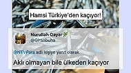 "Hamsi Türkiye'den Kaçıyor" Haberine Yaptıkları İğneleyici Yorumlarla Mevzuyu İnce Gören Mizahşörler