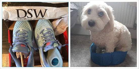 15 аргументов в пользу того, что всем нам надо держаться подальше от неосторожного онлайн-шоппинга