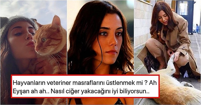 Boşuna Sevmiyoruz Seni! Sokak Hayvanlarının Veteriner Masraflarını Karşılayan Cansu Dere Gönüllerimizi Fethetti