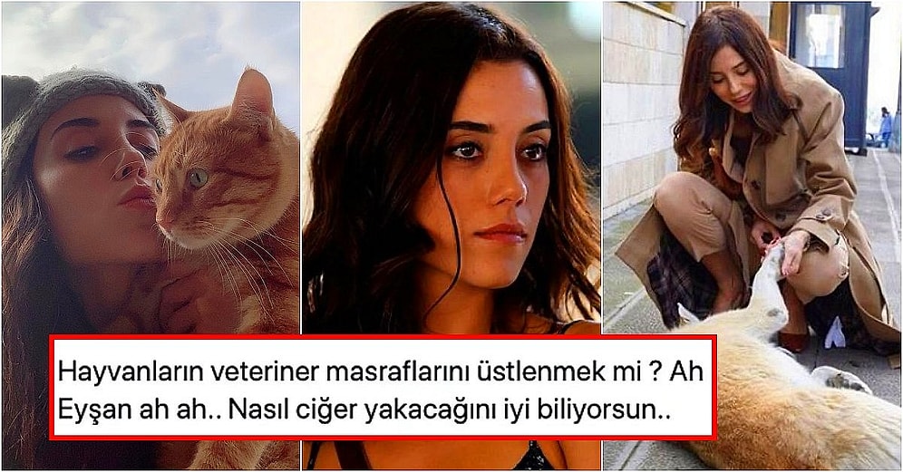 Boşuna Sevmiyoruz Seni! Sokak Hayvanlarının Veteriner Masraflarını Karşılayan Cansu Dere Gönüllerimizi Fethetti