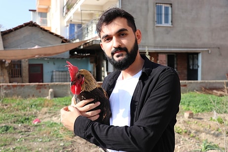 Otomobil ve Binlerce Lira Teklif Ettiler: Öterken Bayılan Denizli Horozu Fenomen Oldu