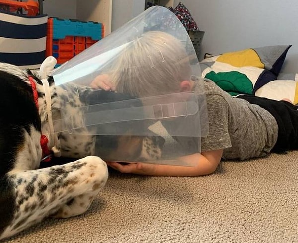 6. "Наш сын ужасно волновался за нашу собаку, перенесшую операцию".